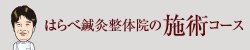 はらべ鍼灸整体院の施術コース