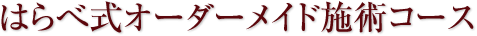 はらべ式オーダーメイド施術コース